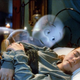 Illustration for article titled iCasper, The Friendly Ghost/i to be revived in life-affirming 3-D